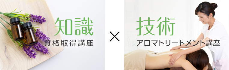 知識と技術を学ぶ