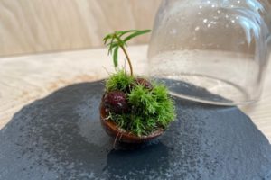 アロマスクールラヴァーレ